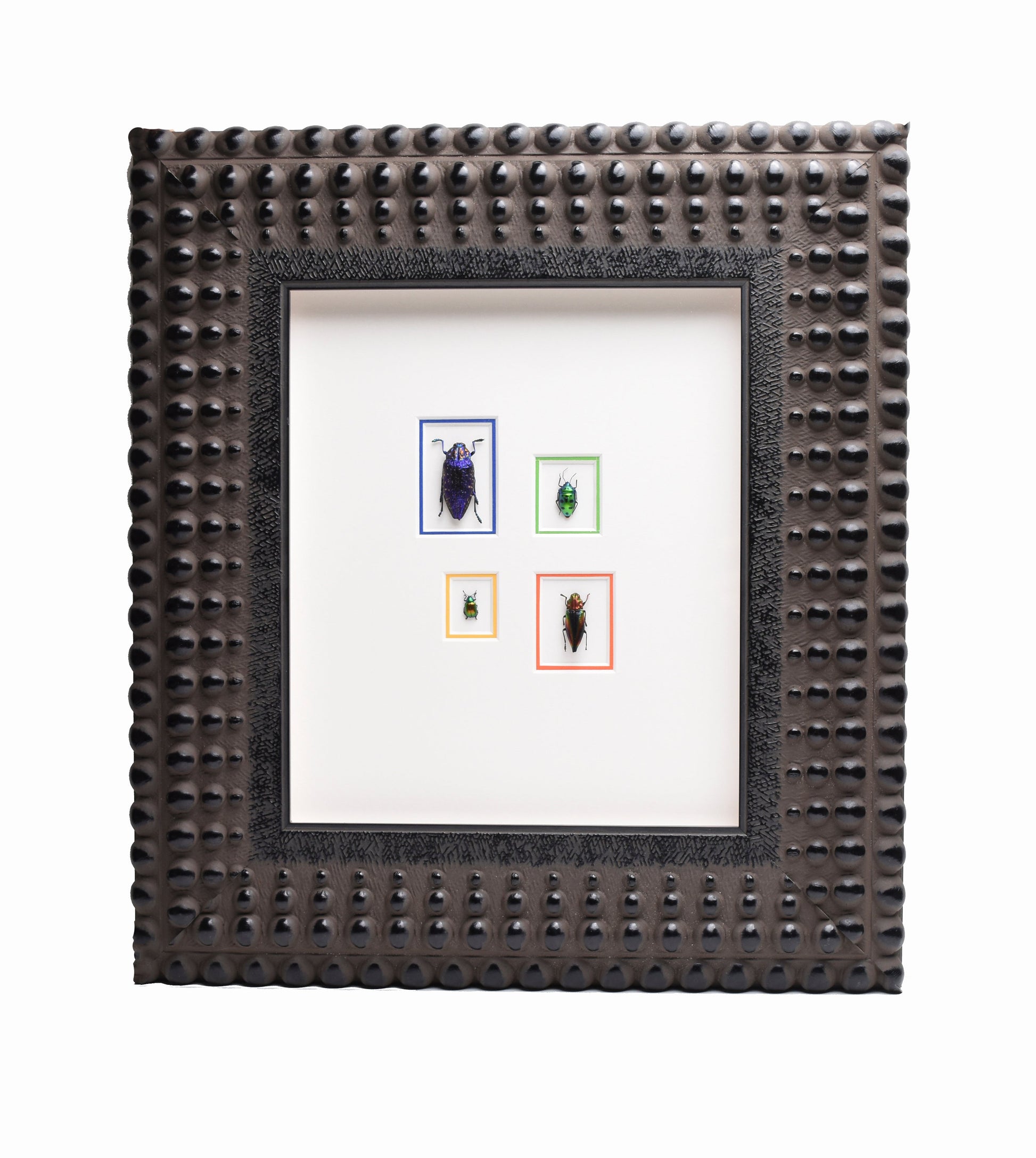 Four colorful beetles are displayed in a textured black frame, each insect in a separate section outlined in blue, green, yellow, and red.