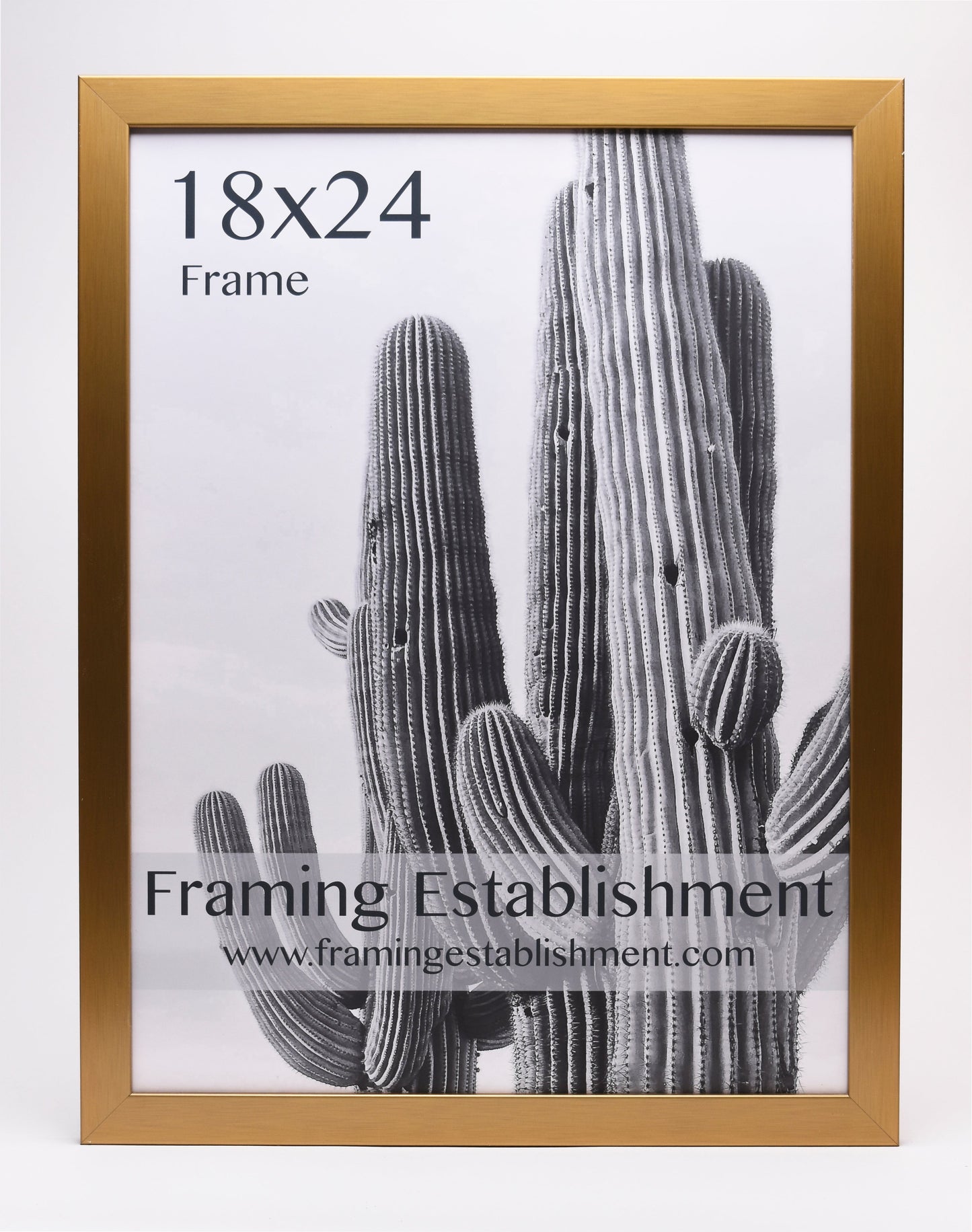A gold-framed poster displaying a black and white cactus photo with text "18x24 Frame" and "Framing Establishment." Simple and modern.