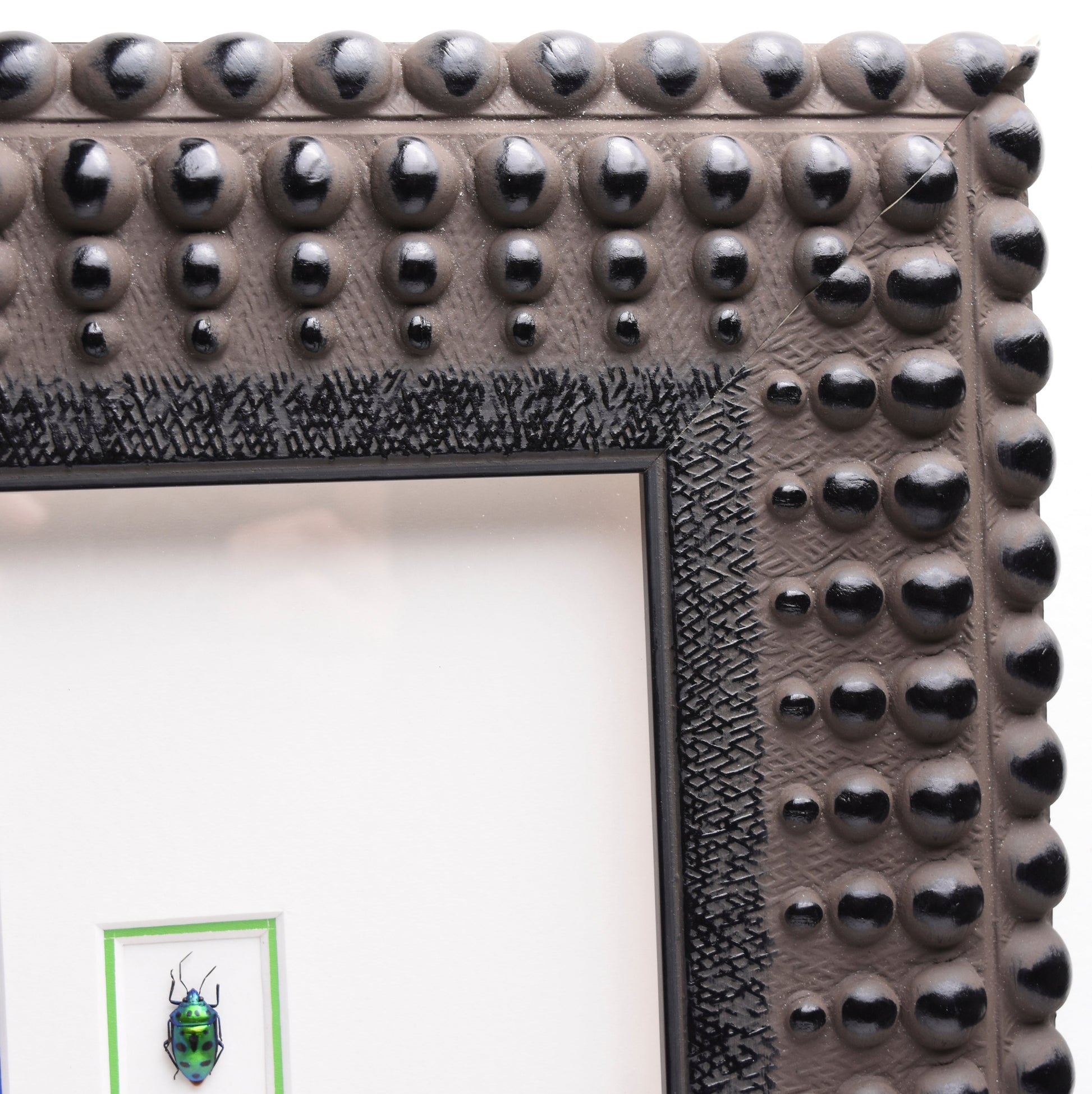 Close-up of a textured frame with black beads and patterned ridges. Inside is a small, vibrant green and blue beetle displayed on white background.