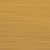 Brushed Matte Gold