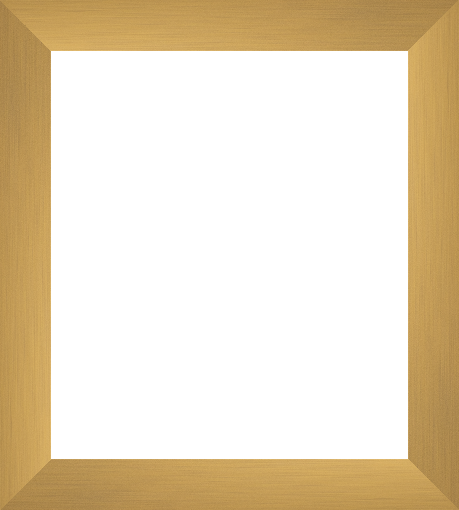 Brushed Matte Gold