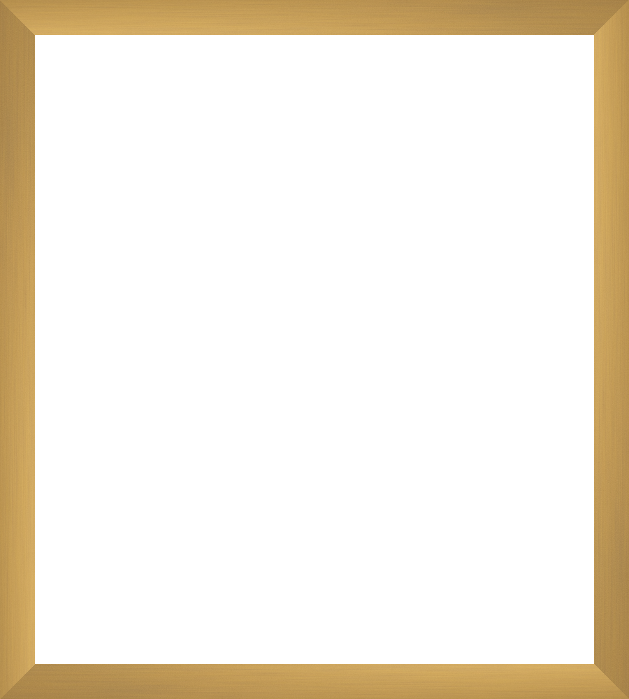Brushed Matte Gold