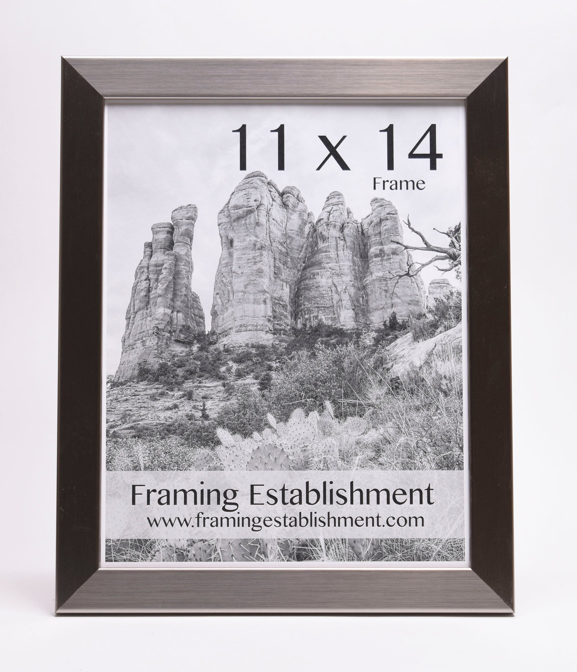A metal-framed photo displays tall, rocky formations under a cloudy sky, labeled "11 x 14 Frame" above. Text below reads, "Framing Establishment, www.framingestablishment.com."