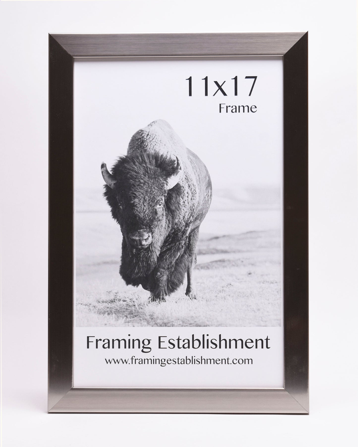 A black and white photo frame measuring 11x17 inches displays a bison standing on a plain. Text reads "Framing Establishment" with a website link.
