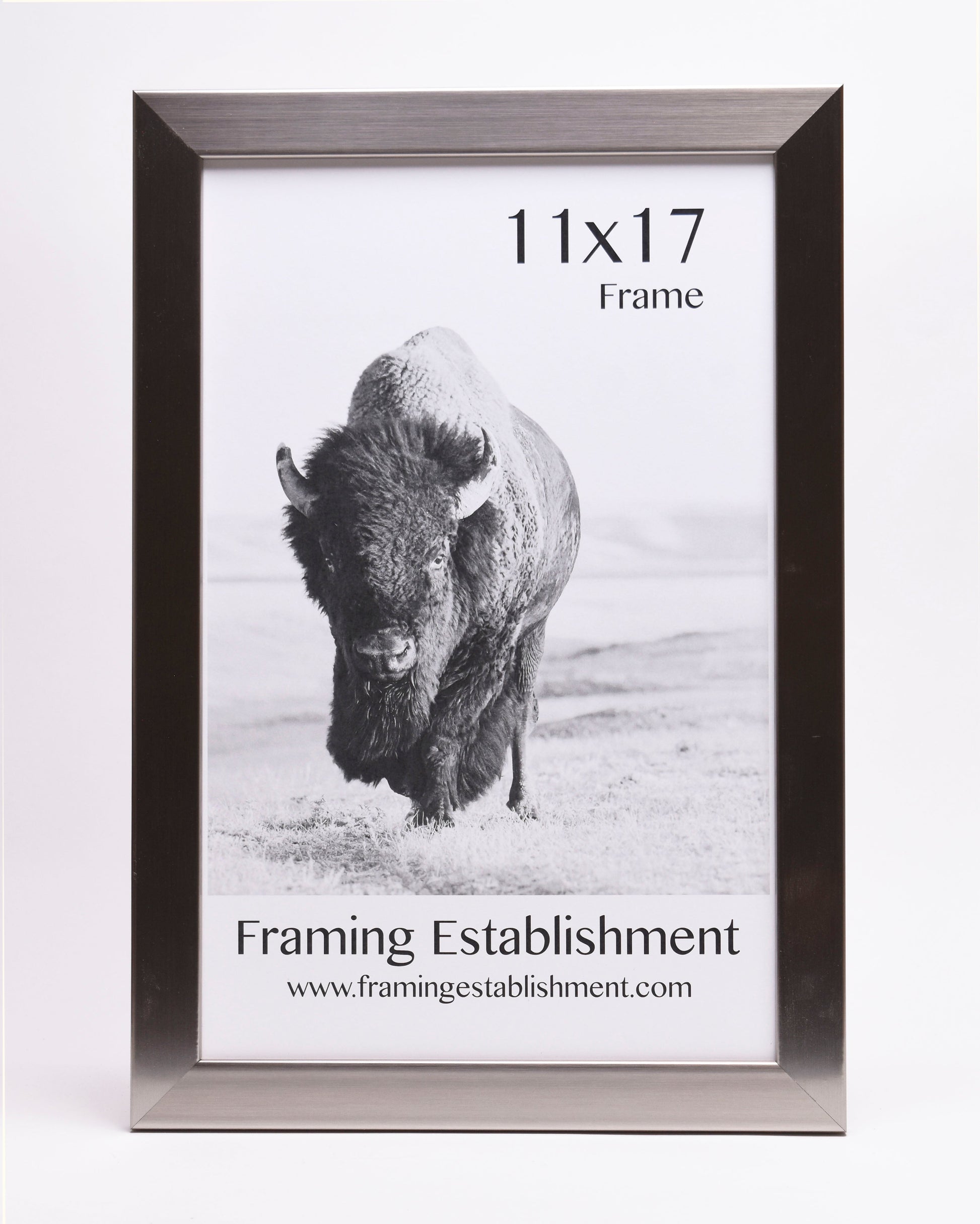 A black and white photo frame measuring 11x17 inches displays a bison standing on a plain. Text reads "Framing Establishment" with a website link.