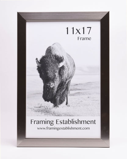 A black and white photo frame measuring 11x17 inches displays a bison standing on a plain. Text reads "Framing Establishment" with a website link.
