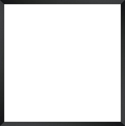 Black border with a white center