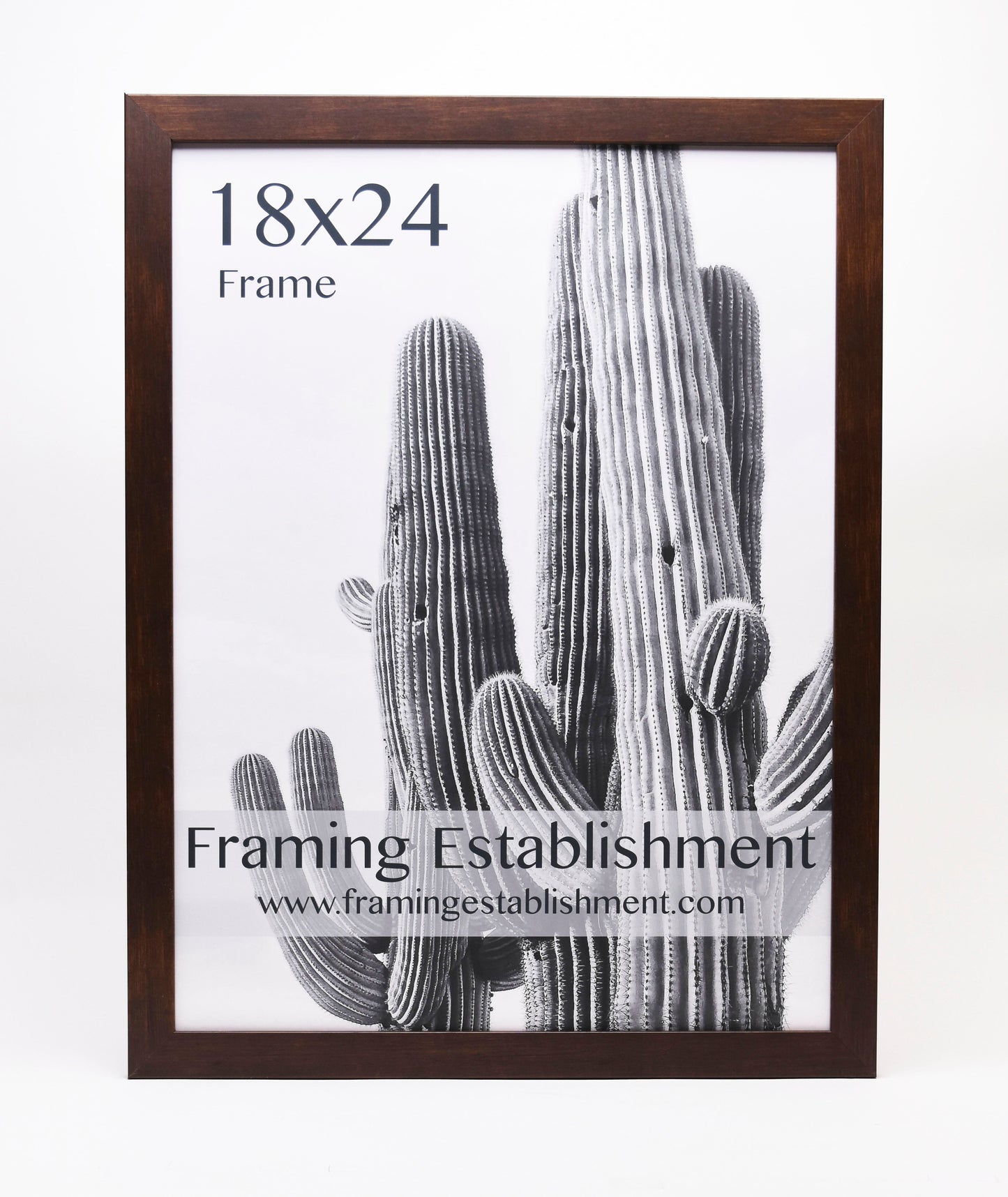 Framed black-and-white cactus photo with "18x24 Frame" text. Wooden border surrounds the image. Branding reads "Framing Establishment" with website link.
