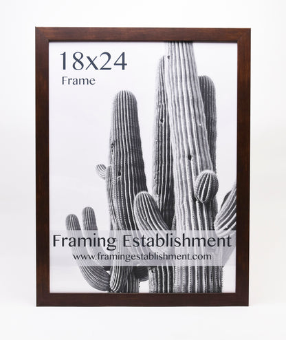 Framed black-and-white cactus photo with "18x24 Frame" text. Wooden border surrounds the image. Branding reads "Framing Establishment" with website link.