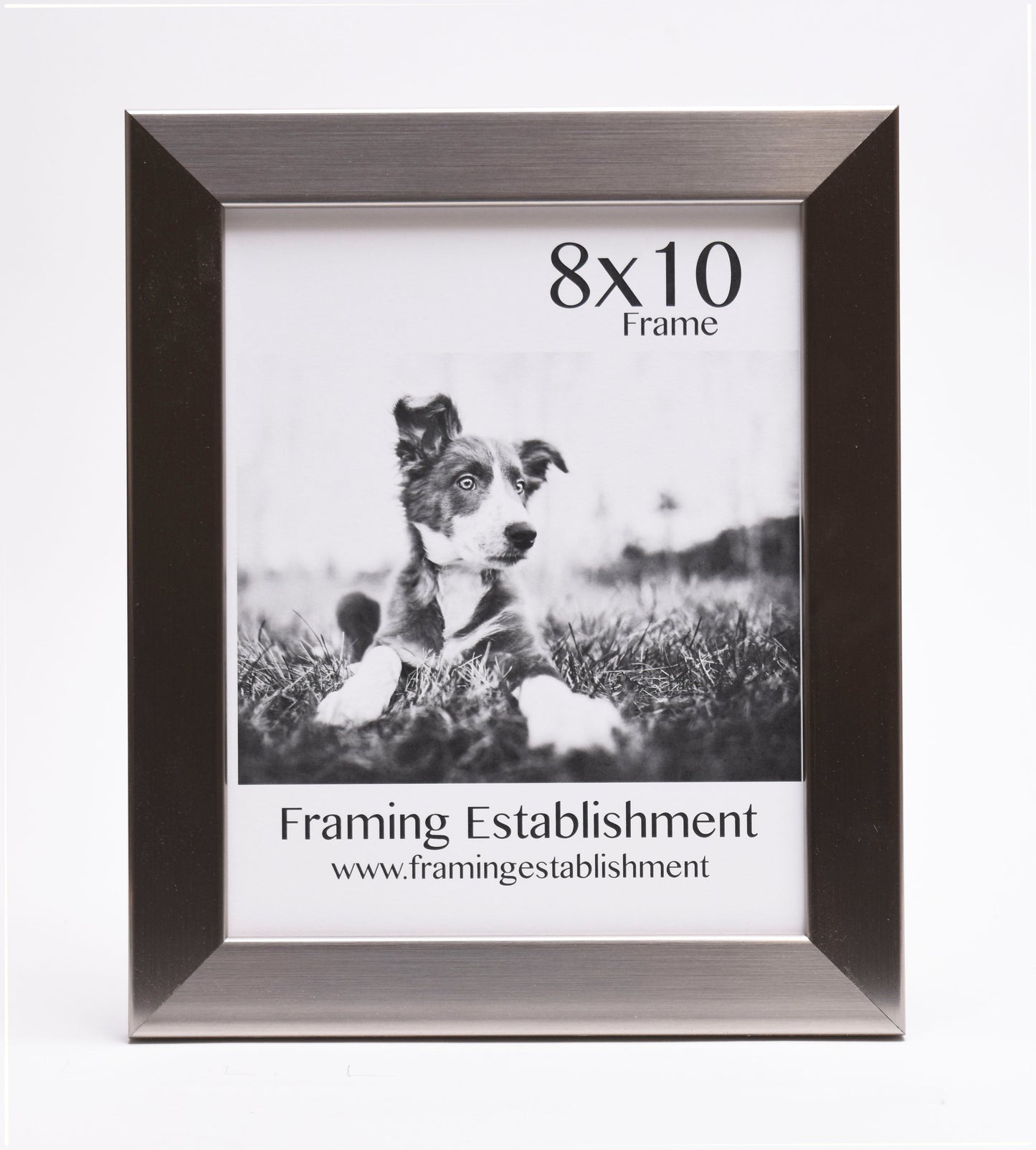 A black and white photo frame holds a picture of a puppy lying on grass. The top reads "8x10 Frame," and the bottom says "Framing Establishment."
