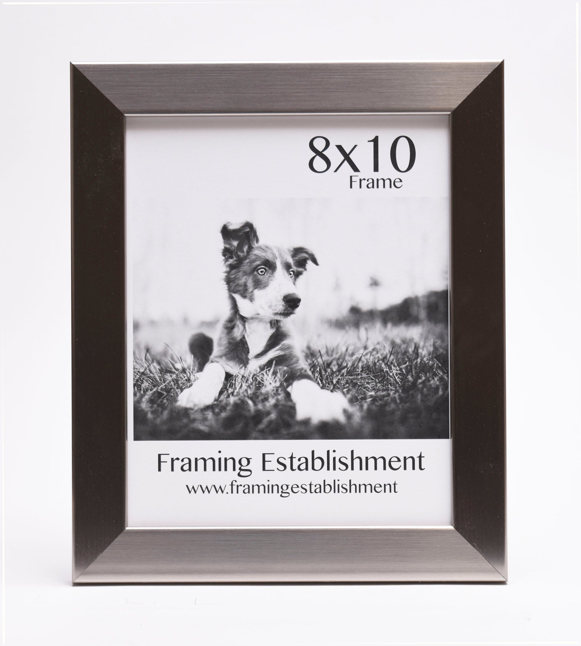 A black and white photo frame holds a picture of a puppy lying on grass. The top reads "8x10 Frame," and the bottom says "Framing Establishment."