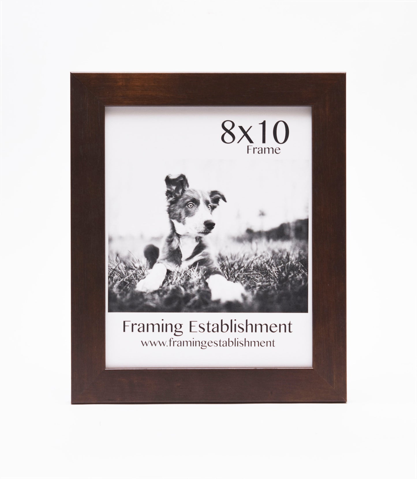 A brown wooden frame displays a black-and-white photo of a puppy lying in grass. The text reads "8x10 Frame" above and “Framing Establishment” below.