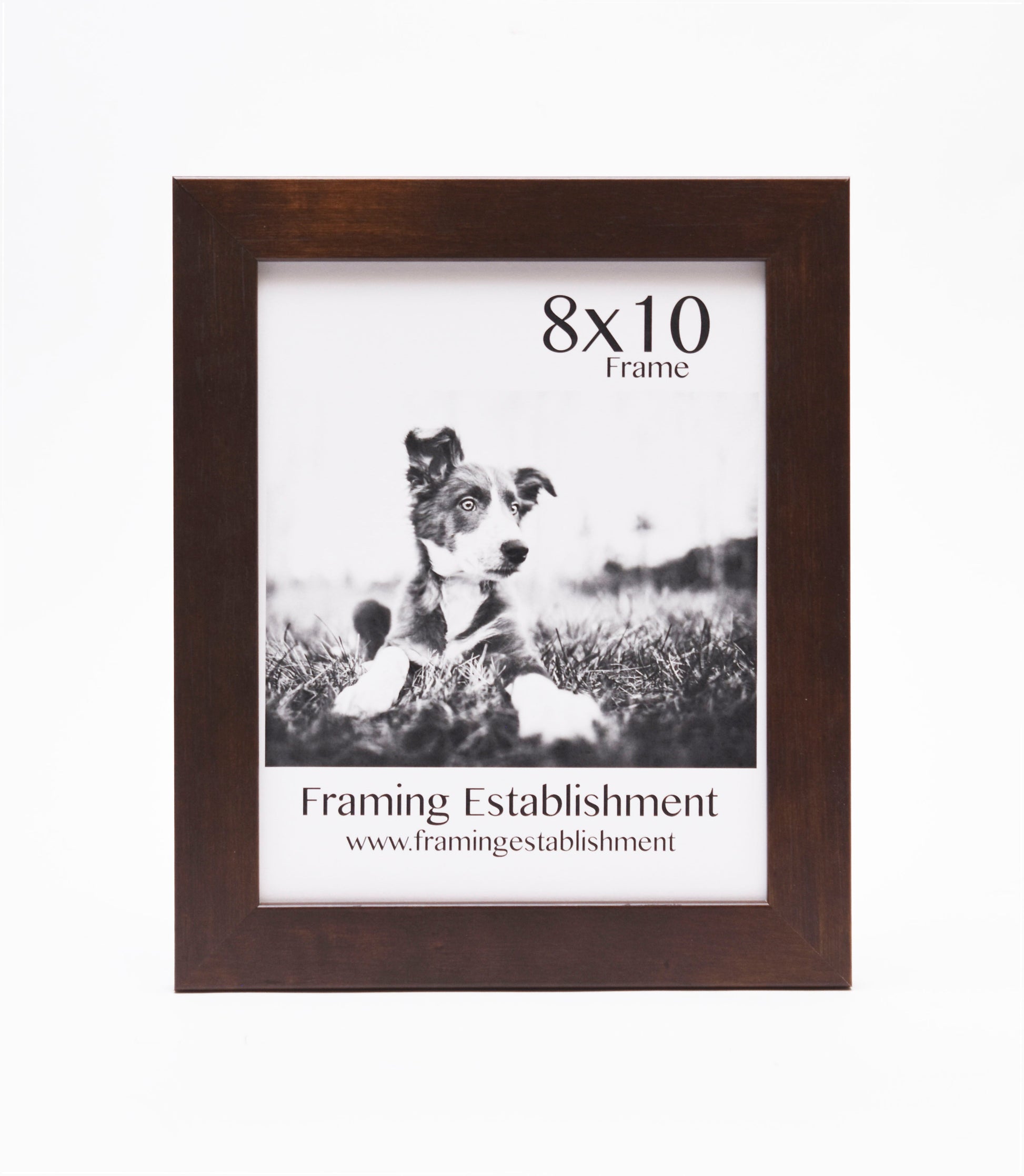A brown wooden frame displays a black-and-white photo of a puppy lying in grass. The text reads "8x10 Frame" above and “Framing Establishment” below.