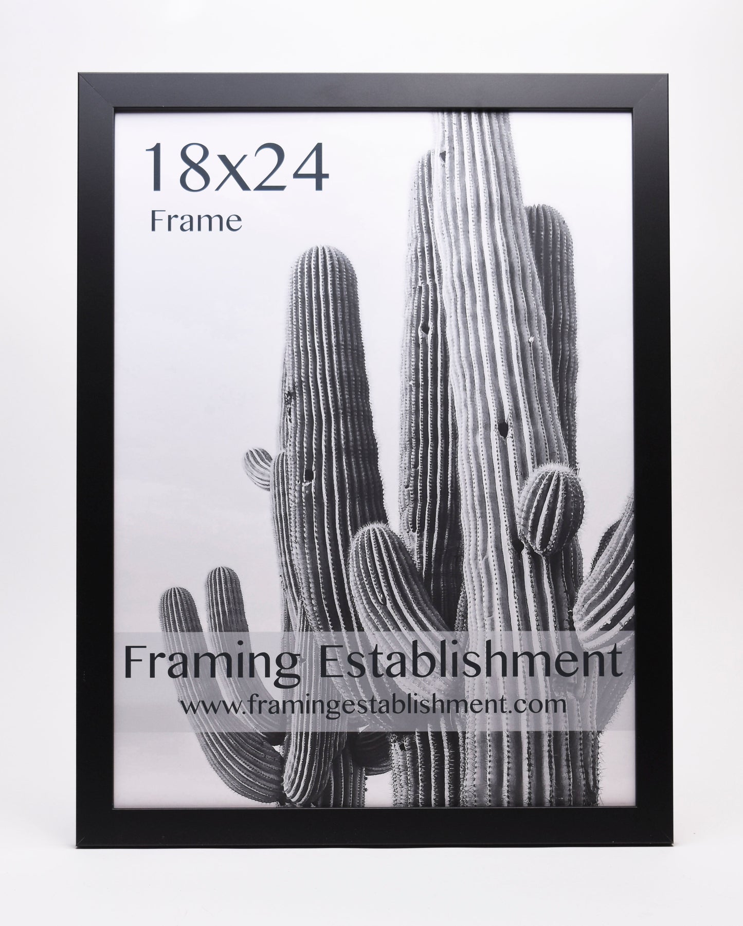 Black-framed 18x24 inch poster featuring a black-and-white cactus image. The text "Framing Establishment" and website are printed on it.
