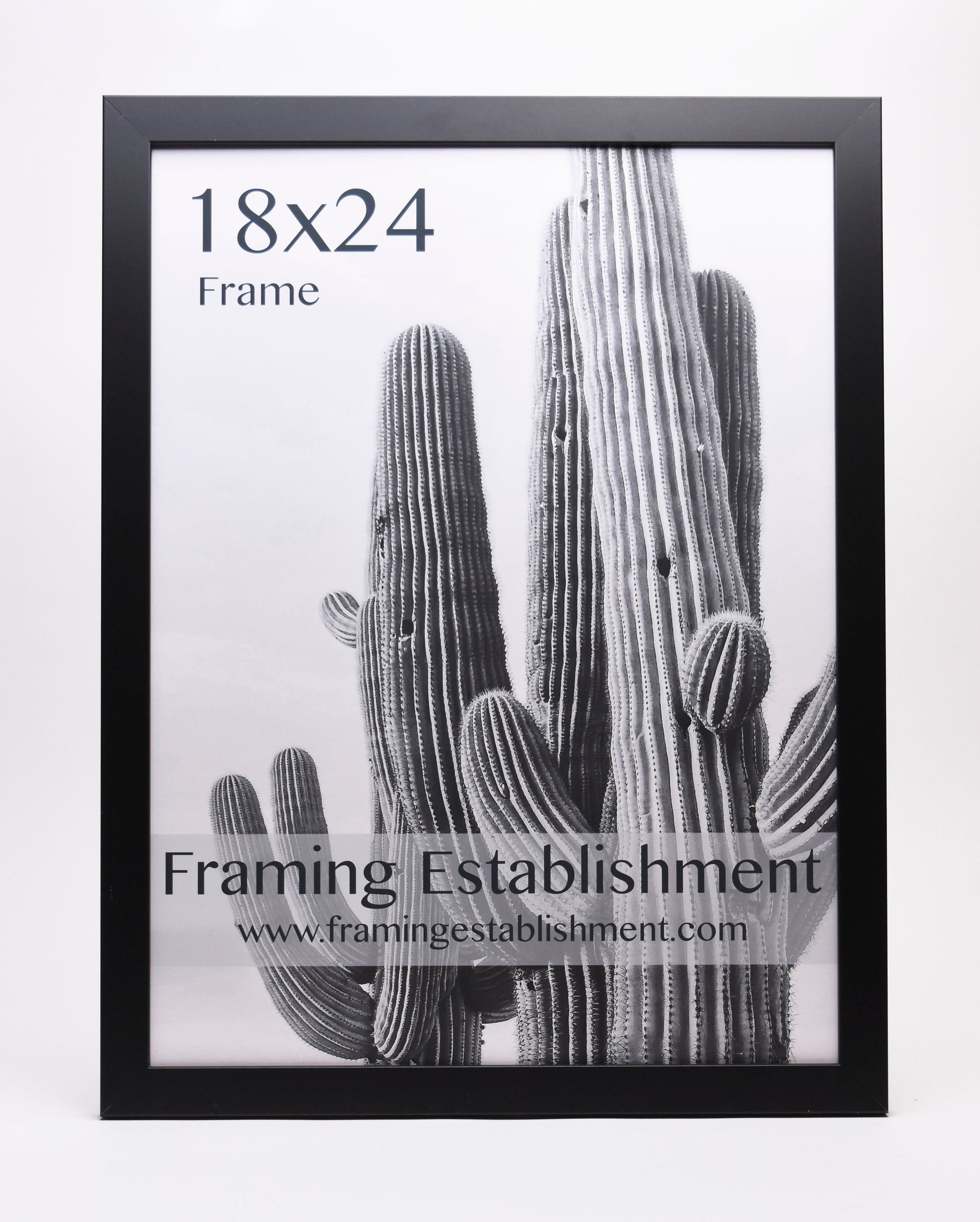 Black-framed 18x24 inch poster featuring a black-and-white cactus image. The text "Framing Establishment" and website are printed on it.
