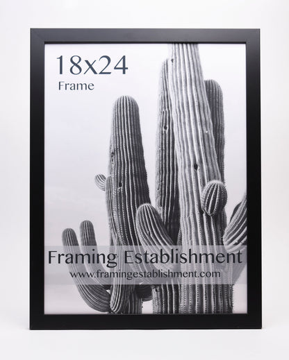 Black-framed 18x24 inch poster featuring a black-and-white cactus image. The text "Framing Establishment" and website are printed on it.