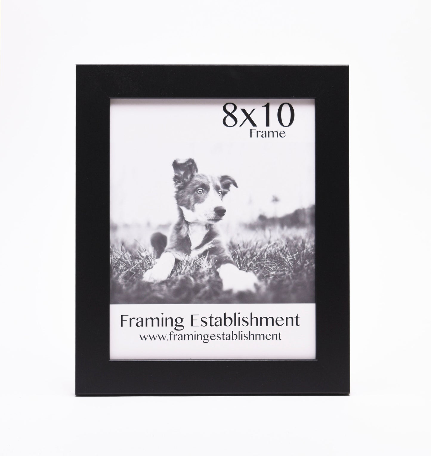 Black photo frame with a black-and-white image of a puppy lying on grass. Text above reads "8x10 Frame" and below "Framing Establishment."