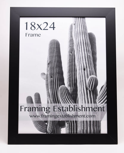 Black-framed 18x24 inch photo featuring a monochrome cactus, labeled "Framing Establishment" with website link below. Clean, modern design.