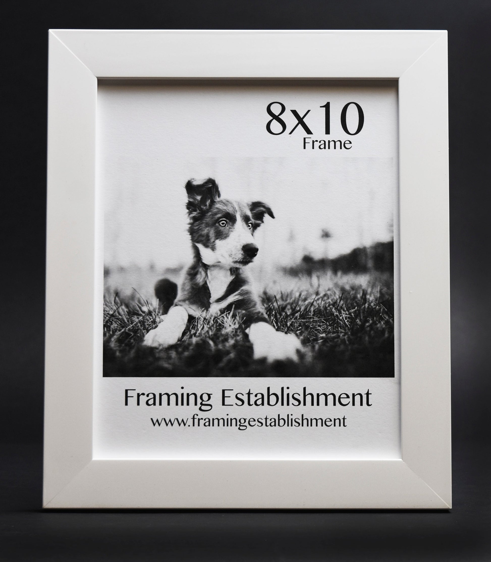 A black-and-white photo of a puppy lying on grass in an 8x10 white frame. Text reads "Framing Establishment" with a website link below.