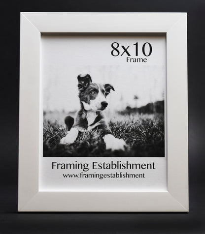 A black-and-white photo of a puppy lying on grass in an 8x10 white frame. Text reads "Framing Establishment" with a website link below.