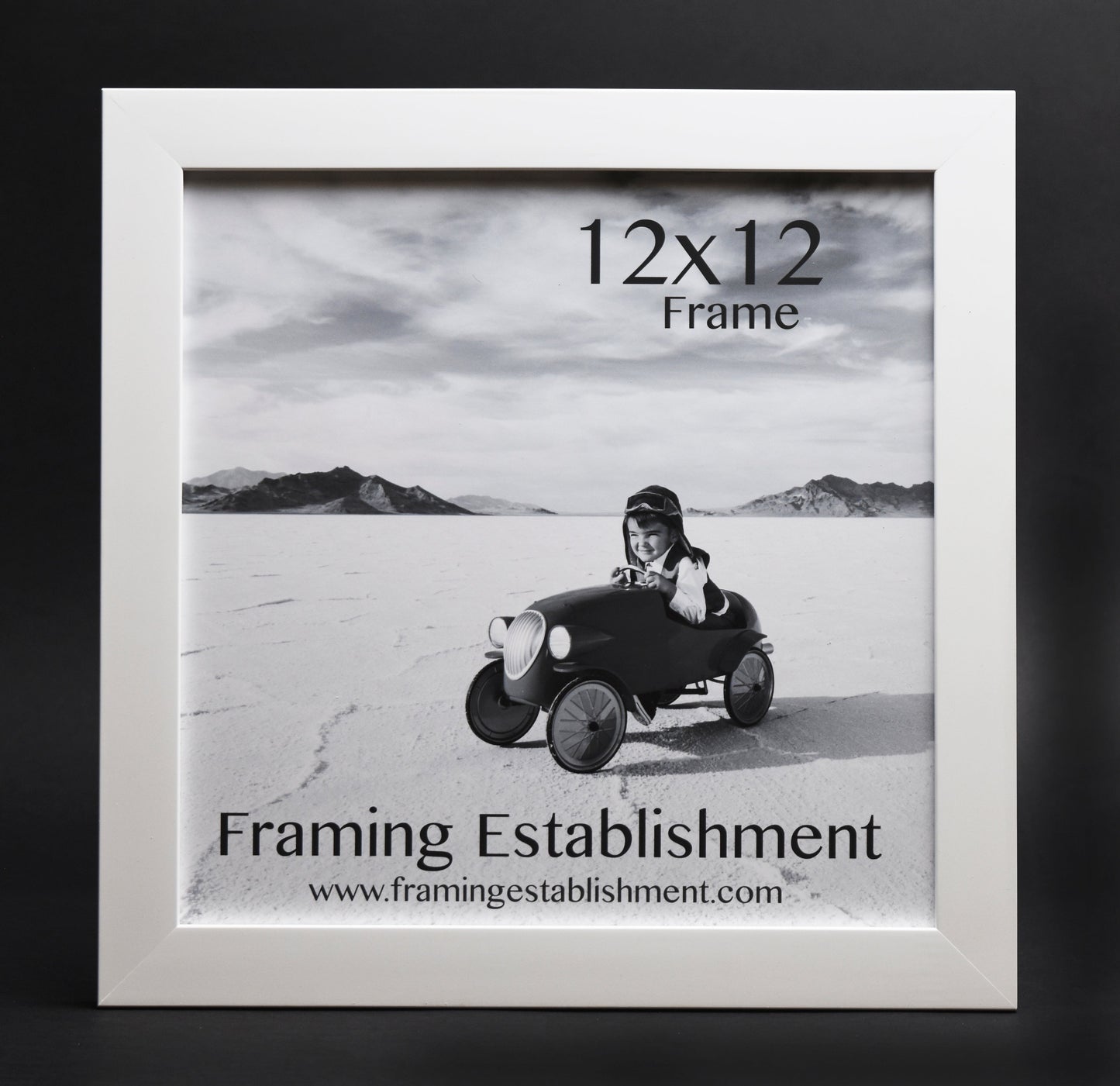 A white satin wall frame with a glass front, labeled '8x10 FRAME' and a picture of a dog inside. The frame has a white backing and a sawtooth hanger.