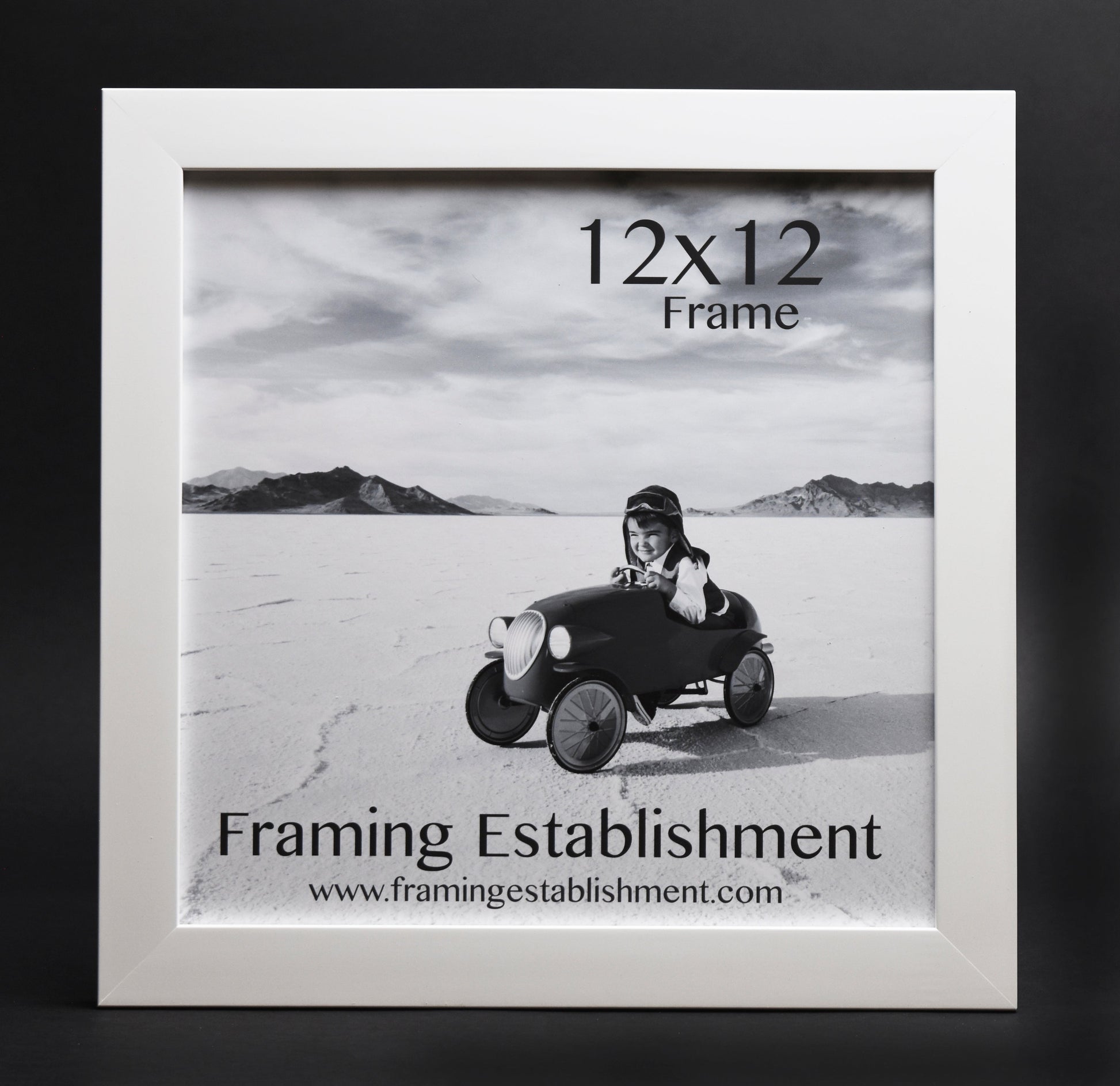 A white satin wall frame with a glass front, labeled '8x10 FRAME' and a picture of a dog inside. The frame has a white backing and a sawtooth hanger.