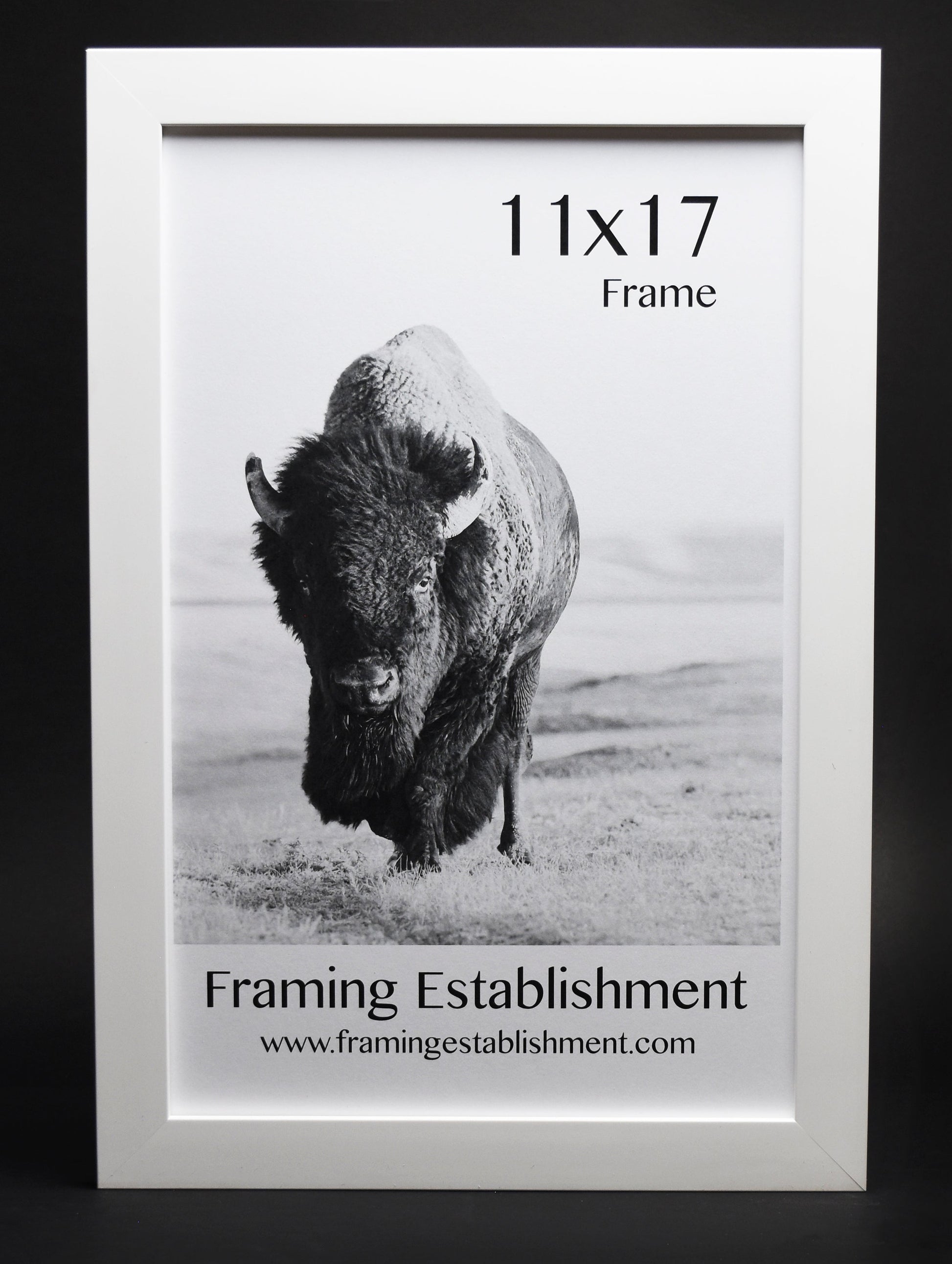A white satin wall frame with a glass front, labeled '8x10 FRAME' and a picture of a dog inside. The frame has a white backing and a sawtooth hanger.