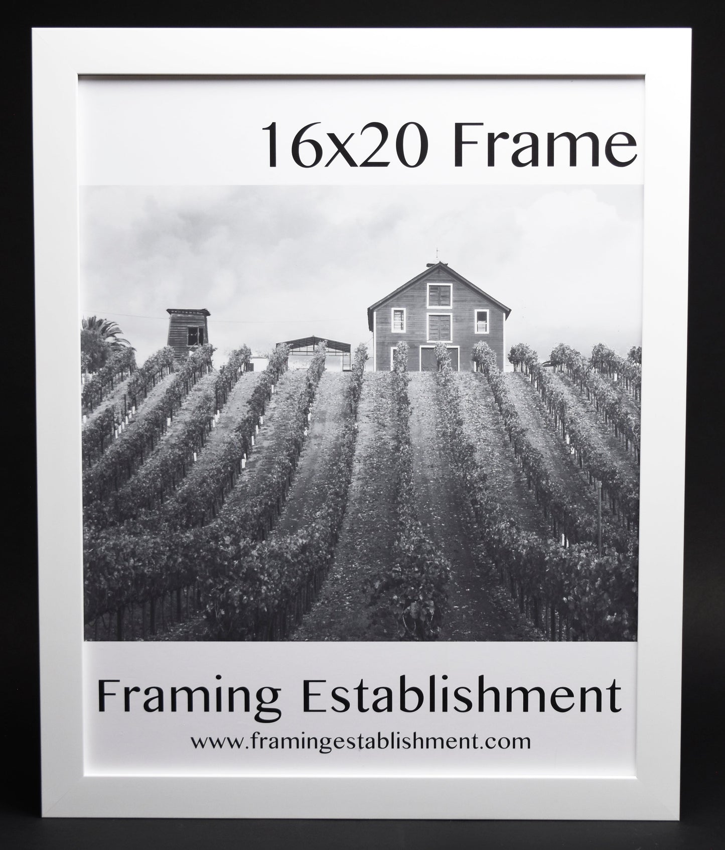 A white satin wall frame with a glass front, labeled '8x10 FRAME' and a picture of a dog inside. The frame has a white backing and a sawtooth hanger.