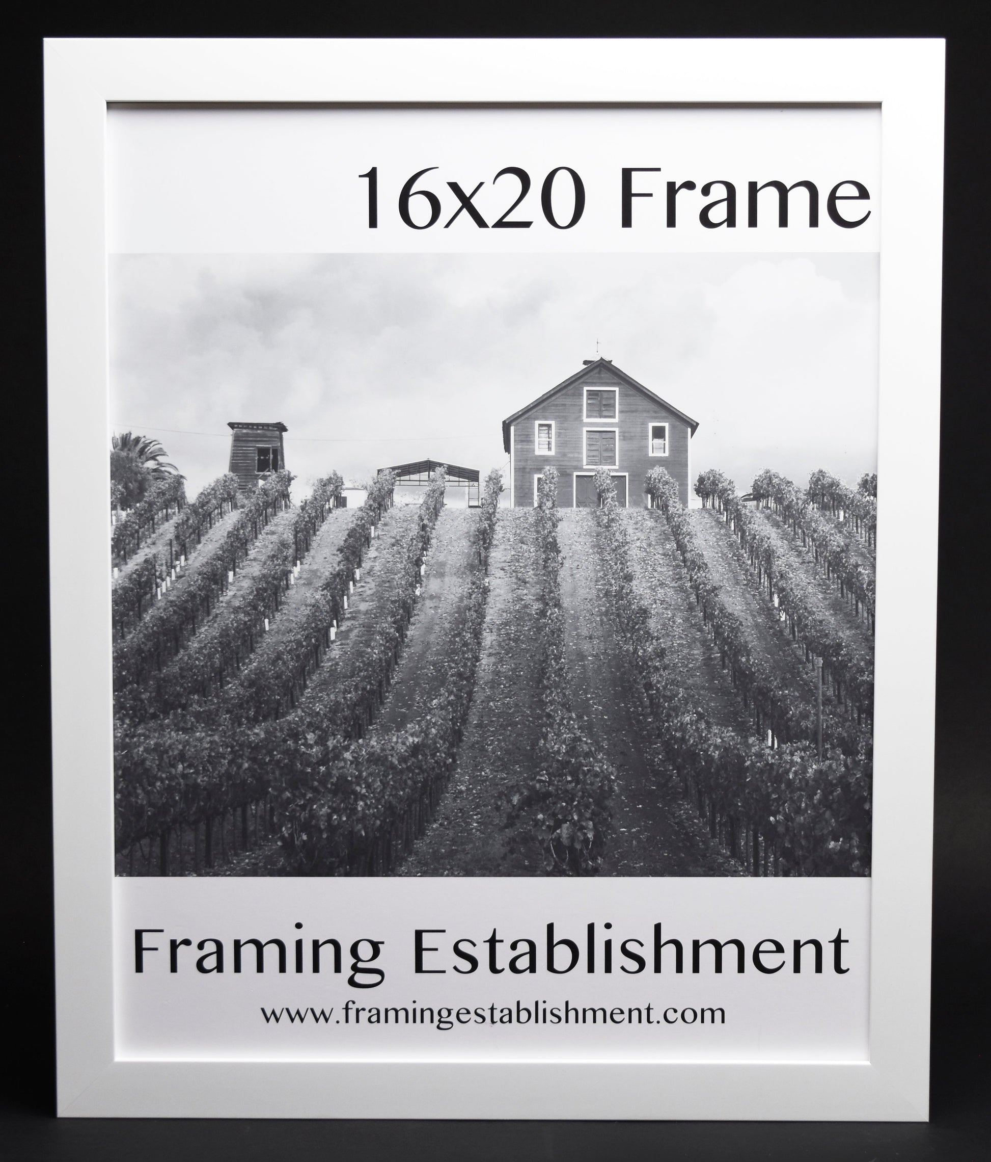 A white satin wall frame with a glass front, labeled '8x10 FRAME' and a picture of a dog inside. The frame has a white backing and a sawtooth hanger.