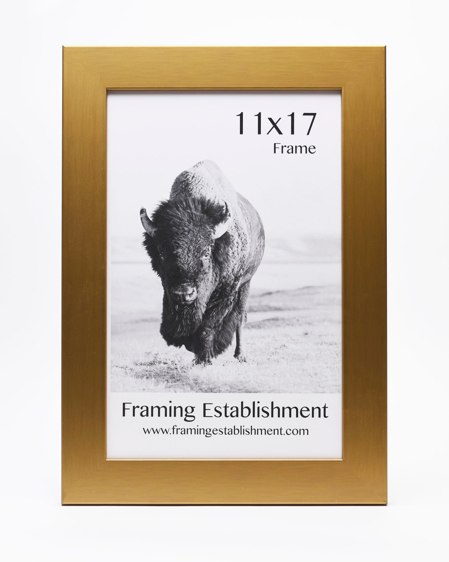 Gold picture frame displaying a black-and-white image of a bison. Text reads "11x17 Frame" and "Framing Establishment" with a web address below.