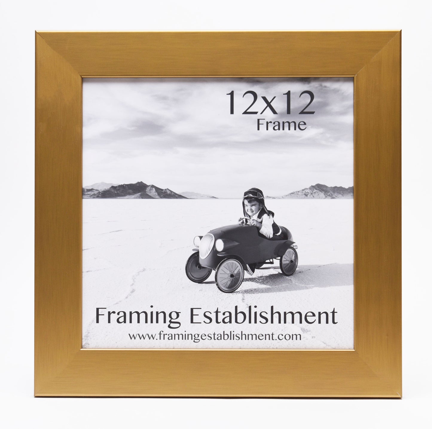 A golden 12x12 frame displays a black-and-white photo of a child in a toy car on a flat landscape. Text reads "Framing Establishment."