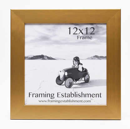 A golden 12x12 frame displays a black-and-white photo of a child in a toy car on a flat landscape. Text reads "Framing Establishment."