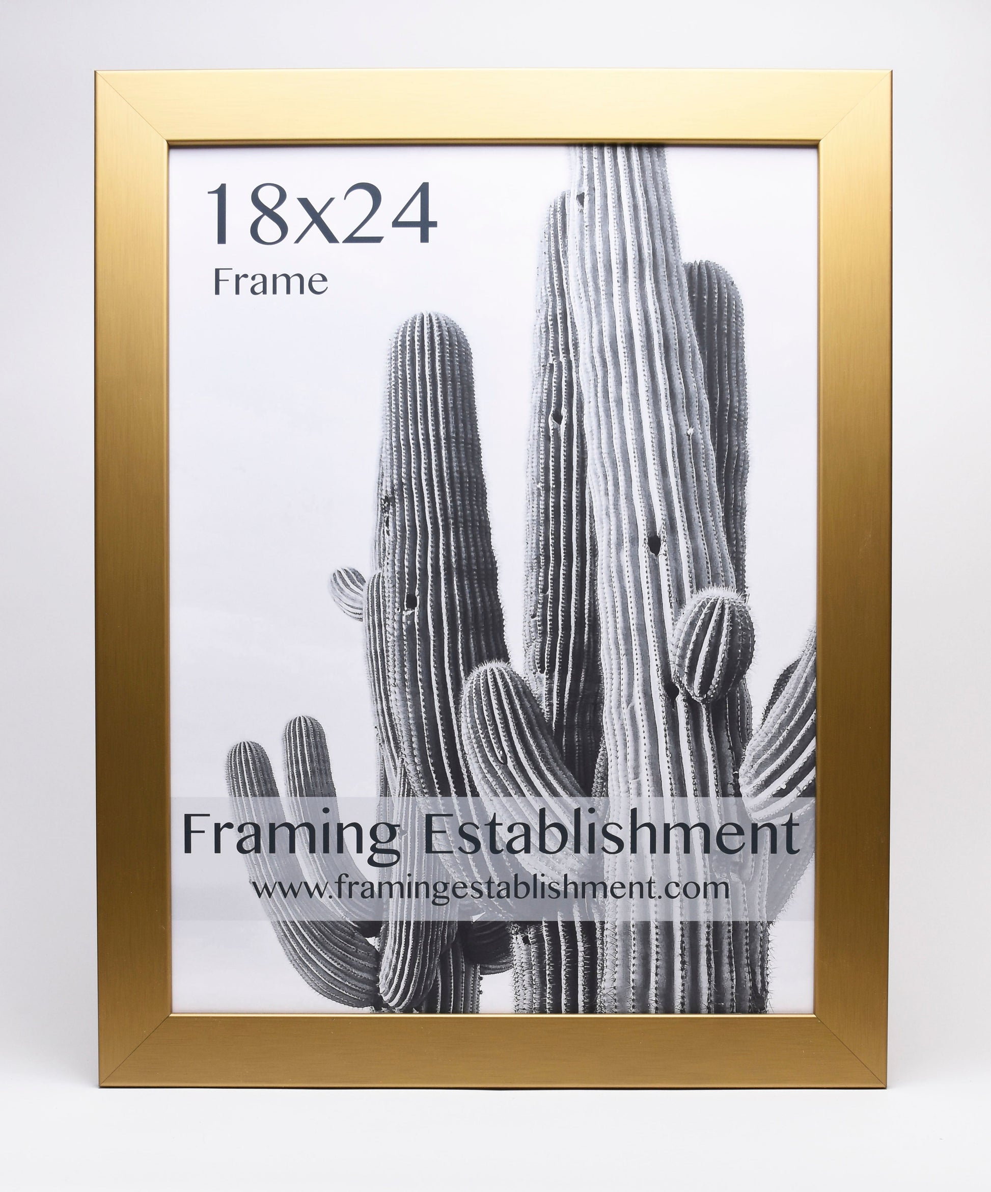 A gold-framed picture displays a black and white image of cacti. Text reads "18x24 Frame" and "Framing Establishment" with website link.