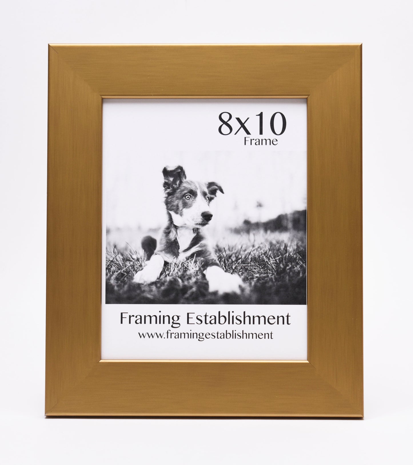 A golden 8x10 photo frame showcasing a black and white image of a playful puppy on grass. Below, it reads "Framing Establishment" with a website link.