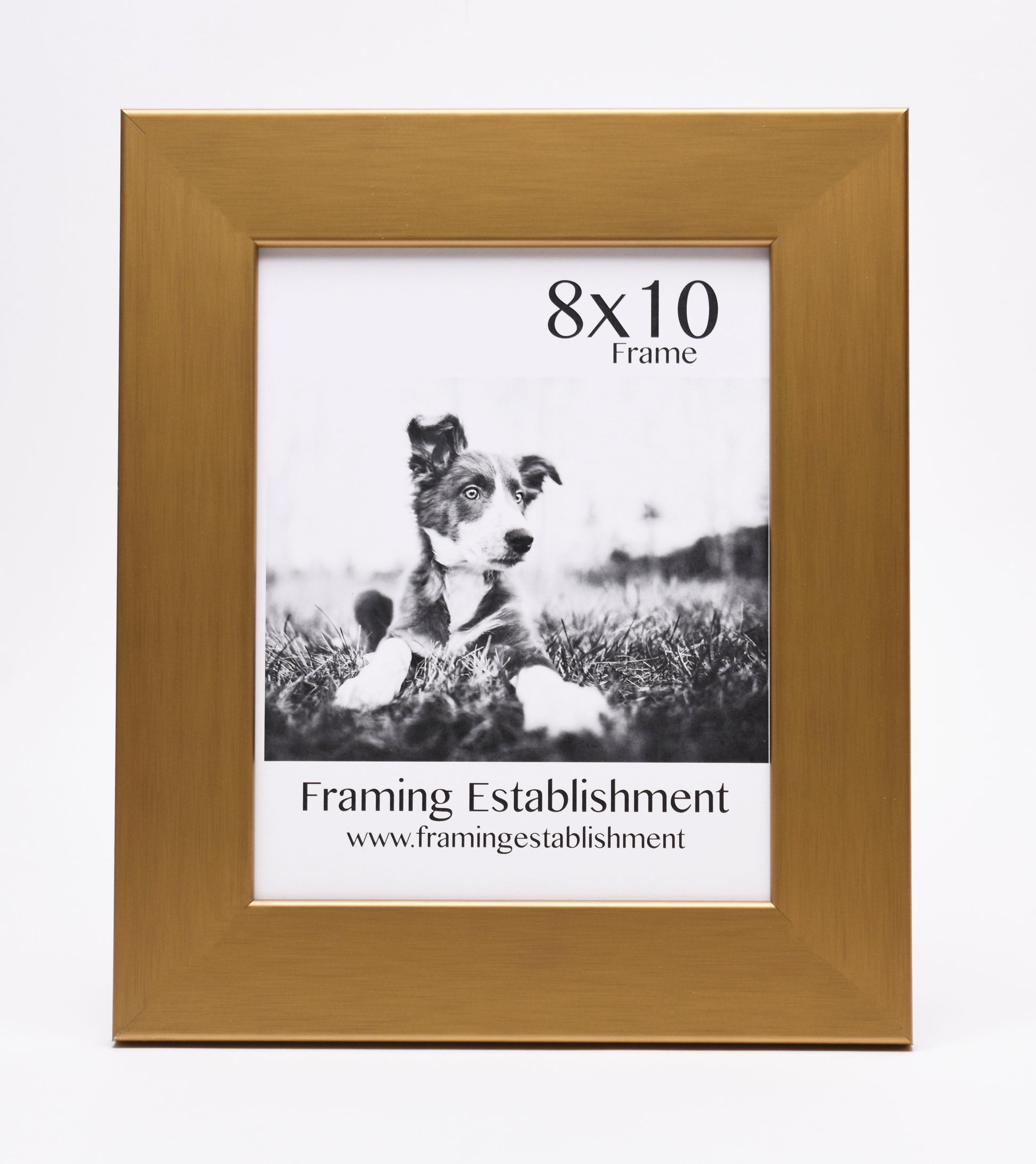 A golden 8x10 photo frame showcasing a black and white image of a playful puppy on grass. Below, it reads "Framing Establishment" with a website link.