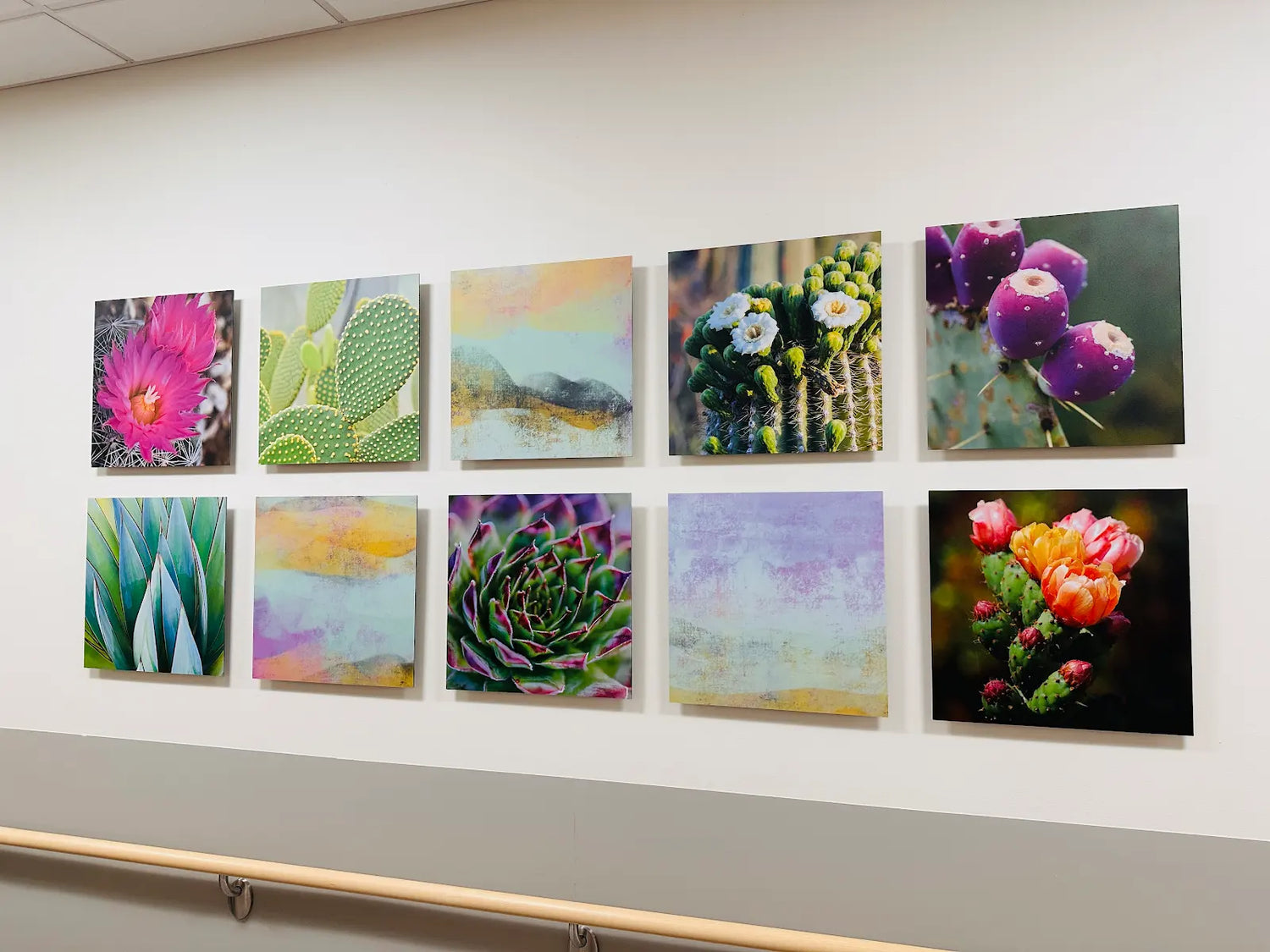 Grid of colorful floral and cactus paintings on a wall.