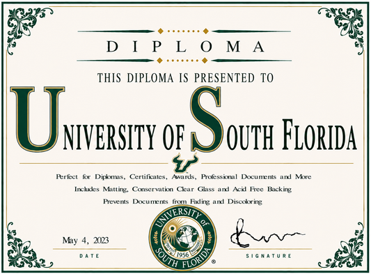 Diploma cover with 'University of South Florida' branding and decorative elements.