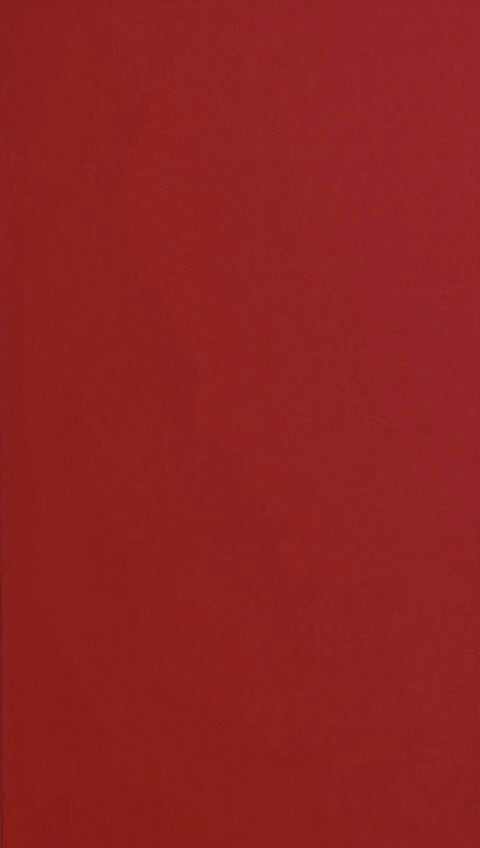 Solid red color swatch rectangular shape.