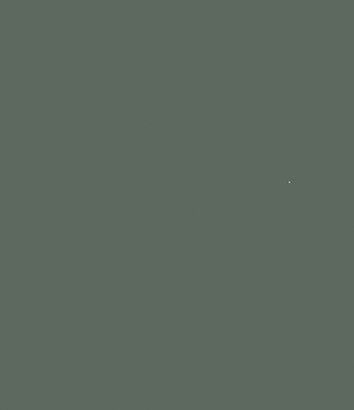 Solid dark gray color swatch